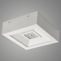 Промышленный светильник Kanlux 18641 TRIC POWERLED-O-2H NT