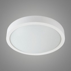 Потолочный светильник Kanlux 26101 OLIE LED 275 WM-WW