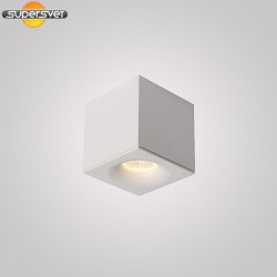 Накладной светильник LUCIDE 23943/07/31 Bent
