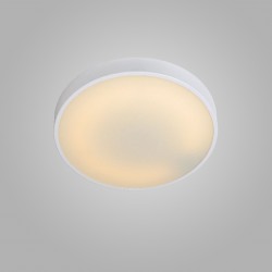 Потолочный светильник LUCIDE 79163/40/31 Karen