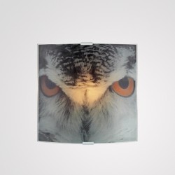 Бра Markslojd 105242 Owl