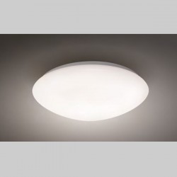 Потолочный светильник Maxlight MOBITECH C0109