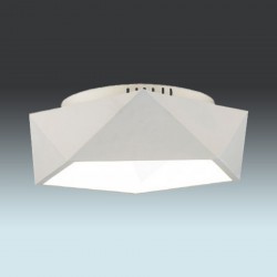 Потолочный светильник Spot Light 1193102 ARCA Потолочный светильник Spot Light 1193102 ARCA